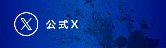 公式X